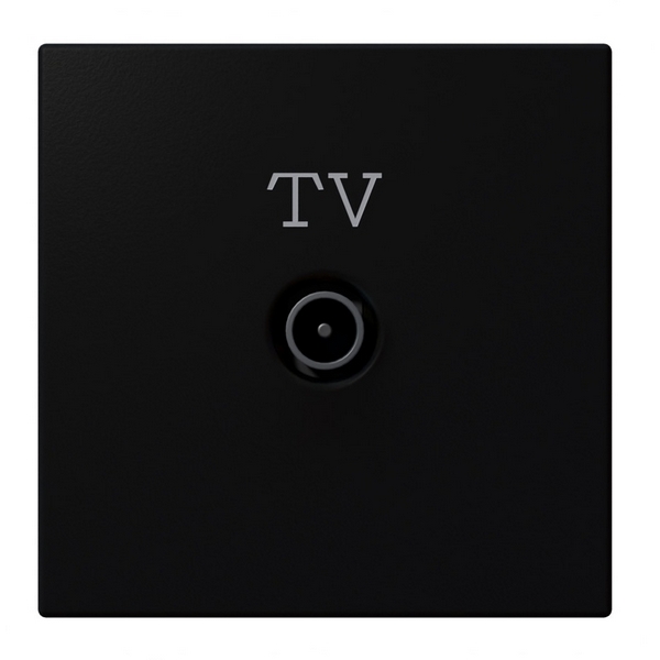 

ТВ-розетка оконечная (черный матовый) Jasmart FD FD6001PBM, FD FD6001PBM