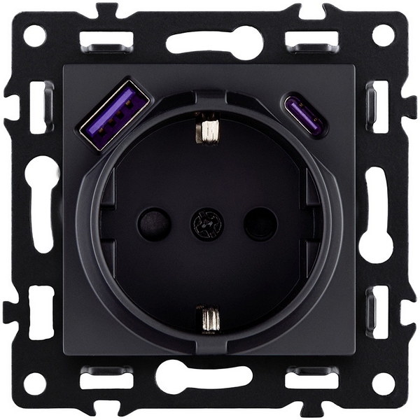Изображение товара Розетка штепсельная SCHUKO 16A с USB A+C 20W черный