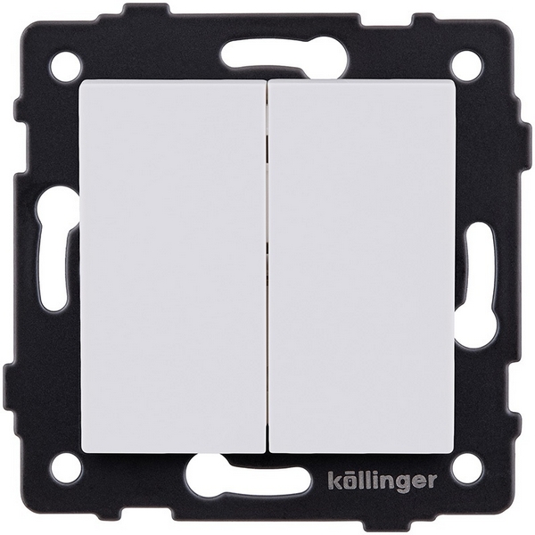 

Выключатель 2-клавишный 10А/250В белый матовый Kollinger REA-S-007WM для Aspekt, Eleganz, Reflex, Aspekt REA-S-007WM