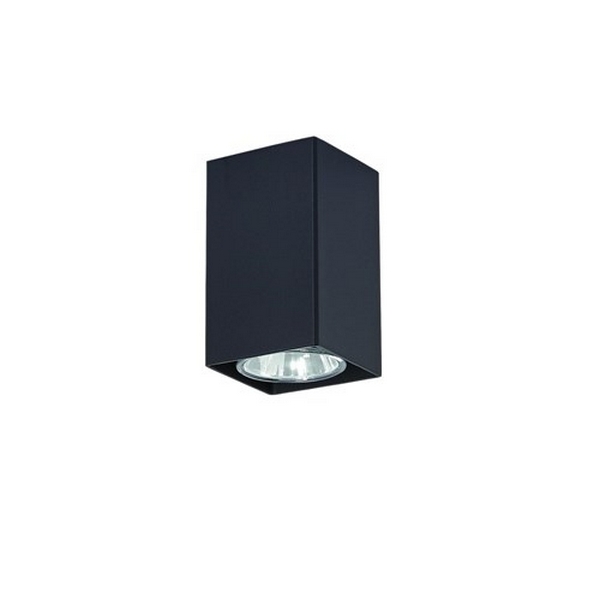 Накладной светильник Lampex Nero 499/G