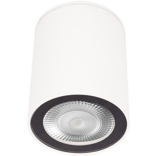 

Накладной светильник Loft It Rush 10344 White, Белый, Rush 10344 White