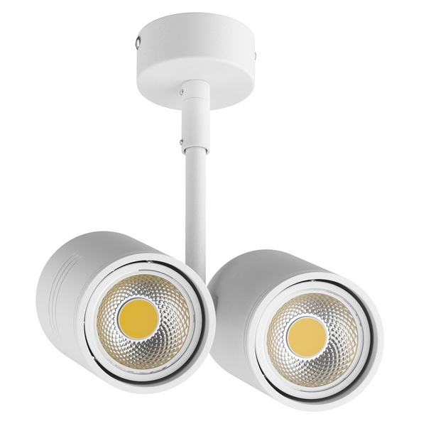 

Точечный накладной светильник Lightstar RULLO 214446, RULLO 214446