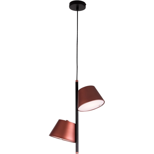 

Подвесной светильник Lightstar Cappe 719223, Коричневый, CAPPE 719223
