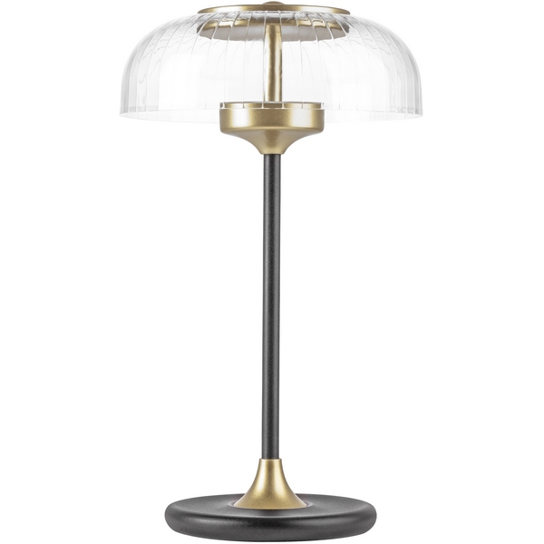 

Настольная лампа светодиодная Lightstar Acrile 738973, Прозрачный, Acrile 738973