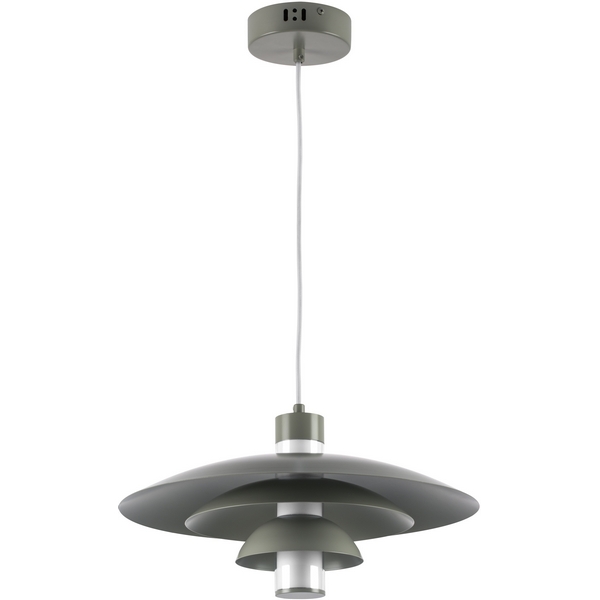 

Подвесной светильник LED Lightstar Erbareo 799019, Серый, ERBAREO 799019