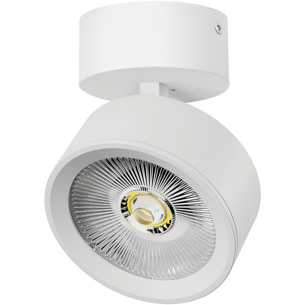 Изображение товара Спот накладной LED Lightstar Alta Pro A5646SO 30W white стиль хай-тек