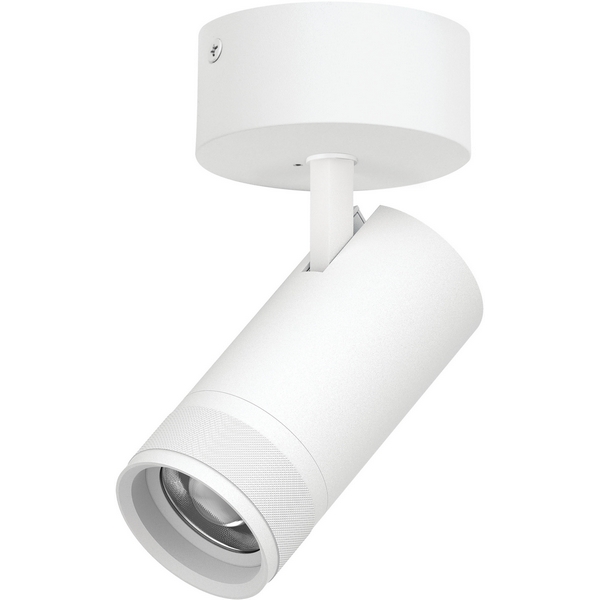 Изображение товара Спот накладной Lightstar Canno Pro C4306SO 30W для дома и интерьера