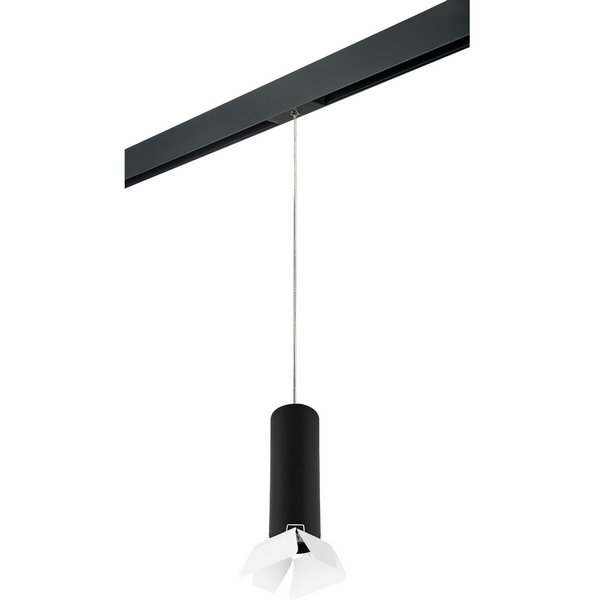 

Трековый светильник однофазный 220V Lightstar Rullo PRORP497436, Черный, RULLO PRORP497436