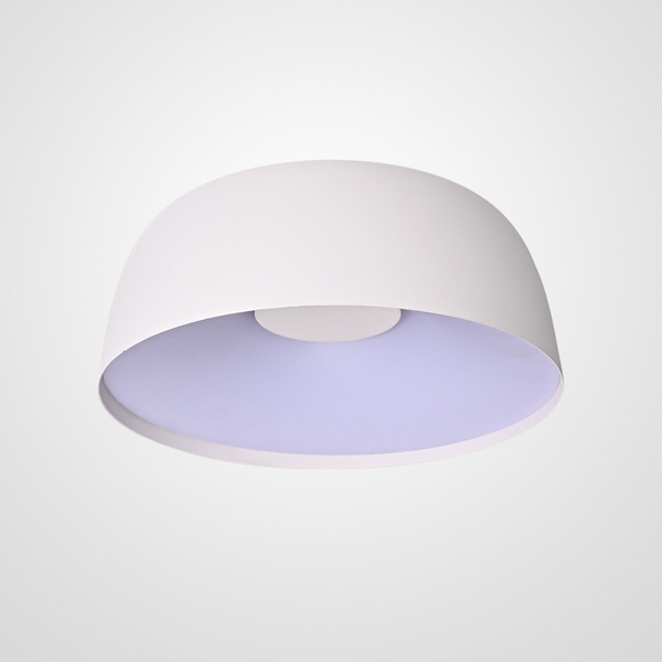 

Настенно-потолочный светильник LED Lu Carte LC-11-0894, Белый, LC-11-0894
