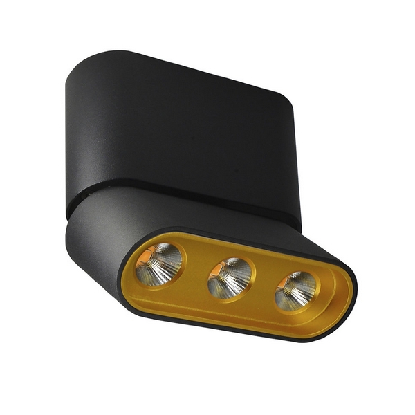 

Спот светодиодный Lumien Hall Фергус 8005/3CS-BK-GD, Черный, Фергус 8005/3CS-BK-GD
