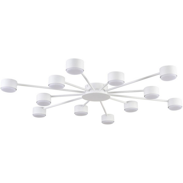 

Потолочная люстра Lumion Torina 8343/12C белый, металл GX53 LED 12*7W 220V, Torina 8343/12C