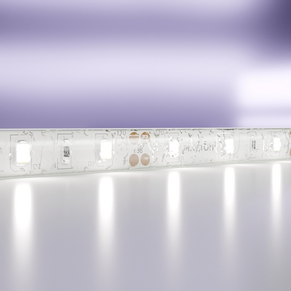 

Светодиодная лента 12В 2835 7,2Вт/м 6000K 5м IP65 арт.20006 Maytoni Led strip 20006, Светодиодная лента 12В 20006