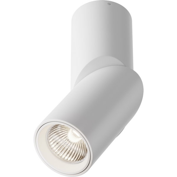 

Накладной потолочный светильник Dafne 4000K 1x10Вт 38° LED Maytoni Technical C027CL-L10W4K, Белый, Dafne C027CL-L10W4K