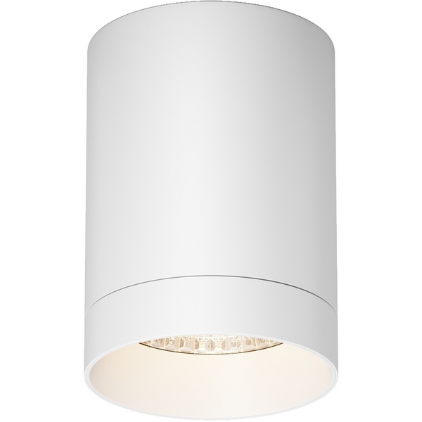 

Потолочный светильник IP65 светодиодный Maytoni Luxe O500CL-L10W3K, Белый, Luxe O500CL-L10W3K