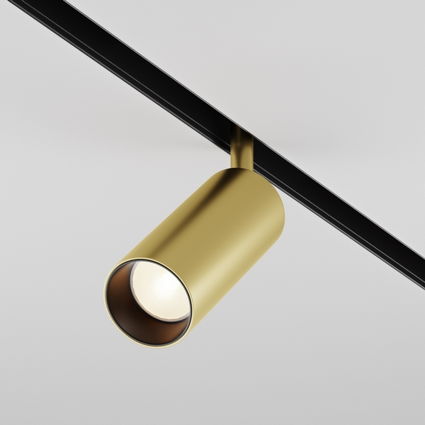 

Трековый светильник 48V Focus Led Exility 3000K 12Вт 24° (магнитный) Maytoni Technical TR032-2-12W3K-S-MG, Золото, TR032-2-12W3K-S-MG