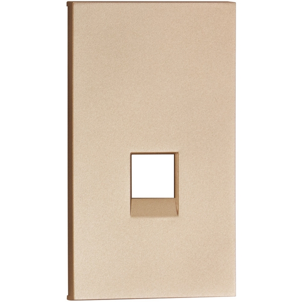 Изображение товара Интернет RG-45/RG11 накладка двух модульная шампань матовая Meiton ACH07M2