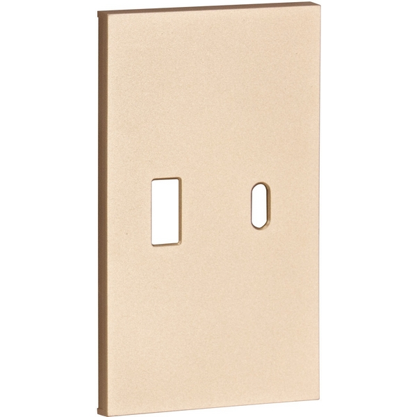 Изображение товара USB+type C накладка двух модульная шампань матовая Meiton ACH12C