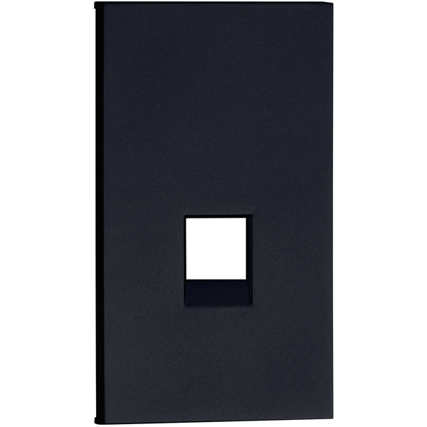 Интернет RG-45/RG11 накладка 2 модульная черный матовый Meiton AG07M2