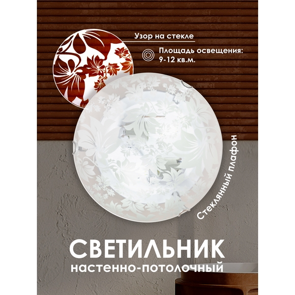 

Настенно-потолочный светильник R1009-2W-300 WT Мелодия Света WA1N 000059679, Белый, WA1N 000059679