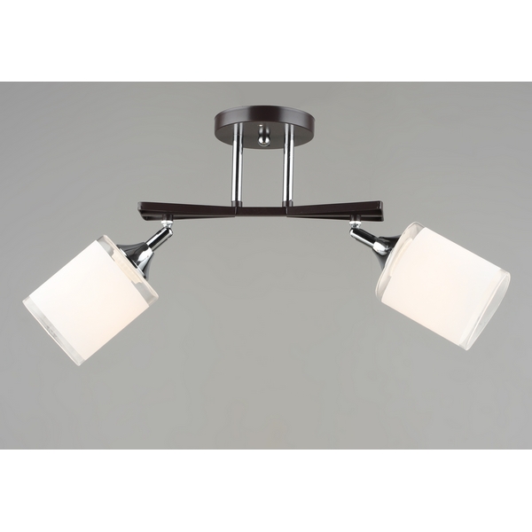

Потолочная люстра на штанге Мелодия Света SL1N SL9079-2 CF+CR 000066028, Белый, SL1N 000066028