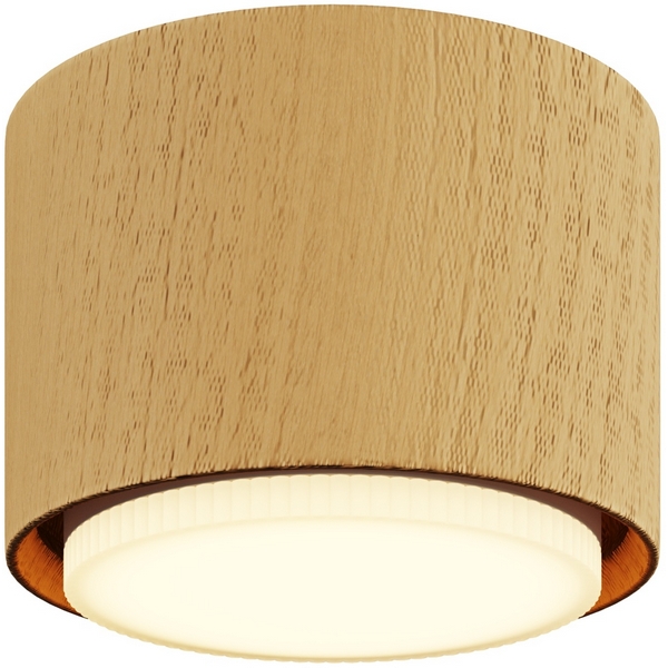 Изображение товара Потолочный светильник Nuvolt Fondo LDL-007RW