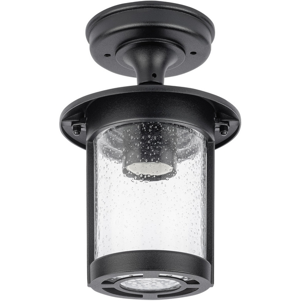 

Потолочный светильник уличный Oasis Light CORDOBA 18205A Bl, Черный, Cordoba 18205A Bl