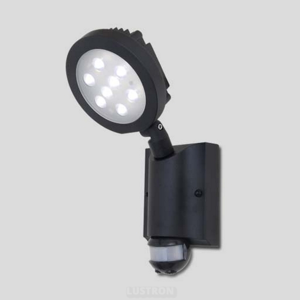 

Светодиодный прожектор уличный Projeсtor 6102S-PIR (Oasis Light), Серый, Projeсtor 6102S-PIR