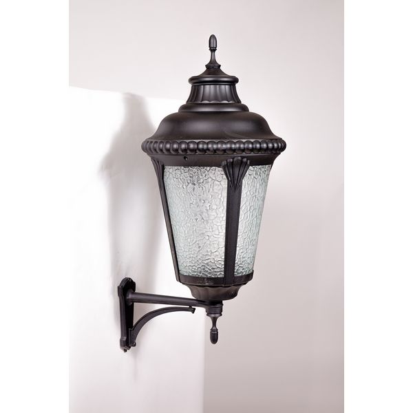 

Настенный уличный фонарь 79751L Bl Oasis Light, Черный, 79751L Bl