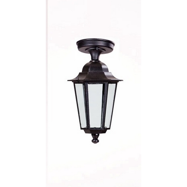 

Потолочный светильник уличный Oasis Light PETERSBURG S 79805SA Bl, Черный, PETERSBURG S 79805SA Bl