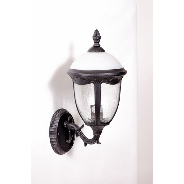 

Настенный уличный фонарь St.LOUIS 89101L/15 Bl мат/тр Oasis Light L, Черный, St.LOUIS L 89101L/15 Bl мат/тр