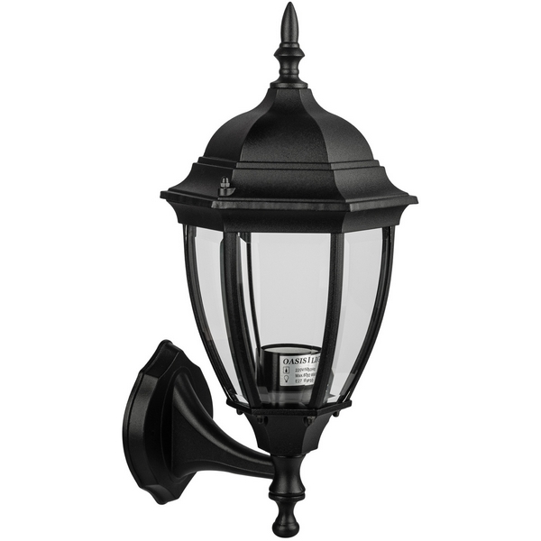 

Настенный фонарь уличный Oasis Light ARSENAL S 91201S 04 Bl, Черный, ARSENAL S 91201S 04 Bl