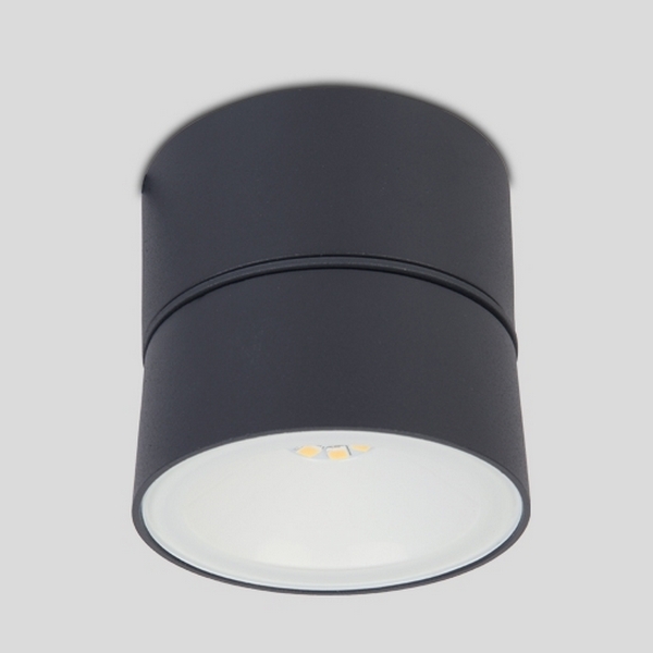 

Настенный светильник уличный светодиодный IP54 Oasis Light W6260, Графит, W6260 Gr