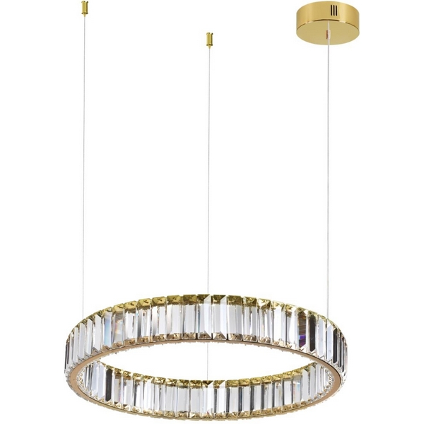 

Подвесной светильник LED Odeon Light Vekia 5015/30L кольцо, Прозрачный, Vekia 5015/30L