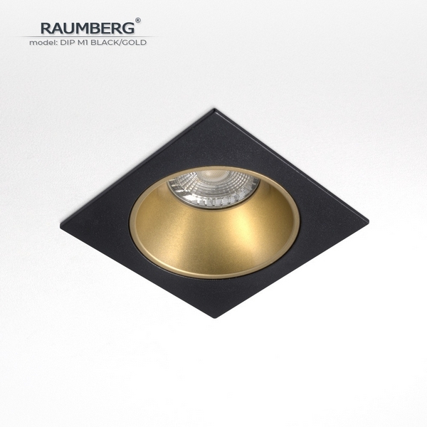 Изображение товара Встраиваемый светильник Raumberg DIP M1 Black/Gold