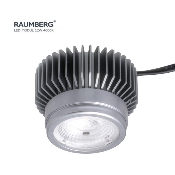 

Светодиодный модуль Raumberg Raumberg12W4000K 12W 4000K, Raumberg12W4000K