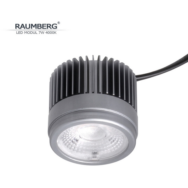 

Светодиодный модуль Raumberg Raumberg7W4000K 7W 4000K, Raumberg7W4000K