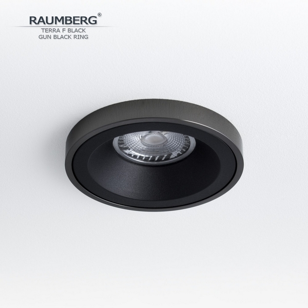 

Встраиваемый светильник Raumberg Terra F TerraFBk\GBk Black\Gun Black, Черный, Terra F TerraFBk\GBk