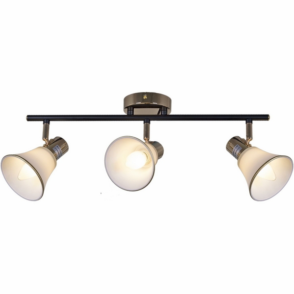 

Спот на штанге Reluce 05901-0.8-03 BK+FGD, Золото, 05901-0.8-03 BK+FGD