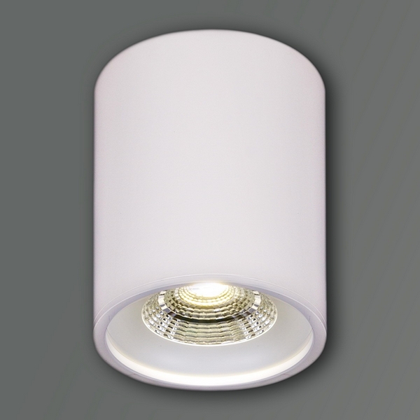 

Точечный светильник светодиодный Reluce 81117-9.5-001RT LED10W WT, Белый, 81117-9.5-001RT LED10W WT