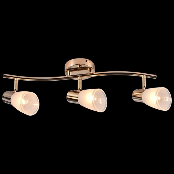 

Спот на штанге Reluce 05947-0.8-03 FGD, Золото, 05947-0.8-03 FGD