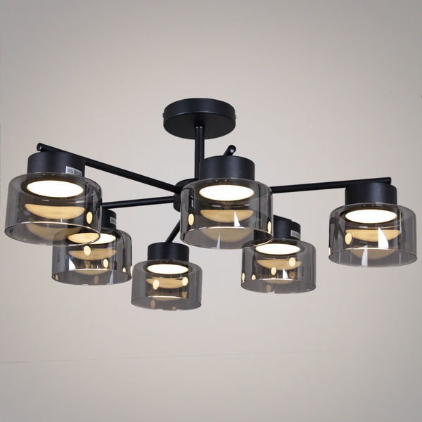 

Потолочная люстра на штанге Reluce 47010-0.3-06 BK, Черный, 47010-0.3-06 BK