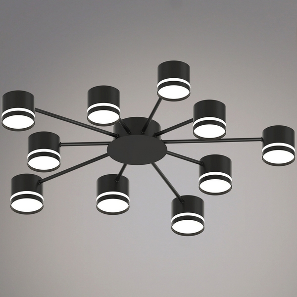 Изображение товара Потолочная люстра Reluce 06730-0.3-10 GX53 BK с 10 светодиодными лампами