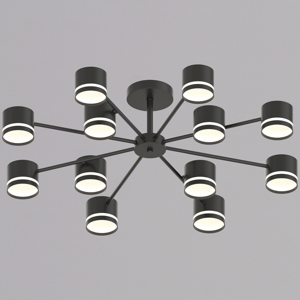 

Потолочная люстра на штанге Reluce 89730-0.3-12 GX53 BK, Черный, 89730-0.3-12 GX53 BK