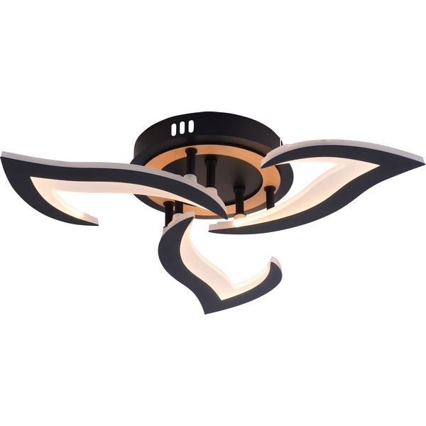 

Потолочная люстра светодиодная Rivoli Cassandra 6194-703 LED 3000-6250К 42 Вт с пультом, Черный, Cassandra 6194-703