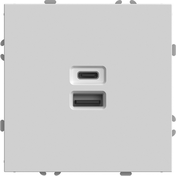 

Розетка USB Type A+С (белый) Stekker Эмили 49879, Эмили 49879