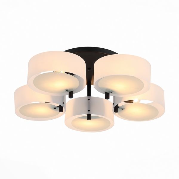 

Потолочная люстра ST Luce Foresta SL483.402.05, Foresta SL483.402.05