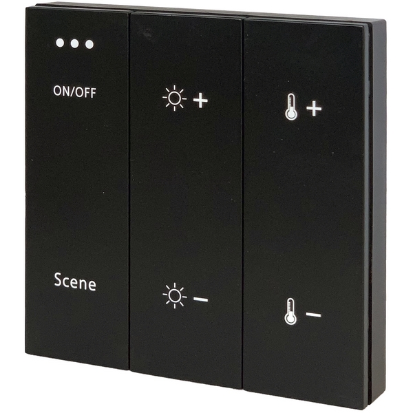 

Панель управления Skyline 220 ST015.400.99 ST Luce, Черный, Skyline 220 ST015.400.99