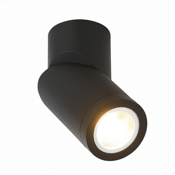 

Точечный светильник влагостойкий ST Luce ST650 ST650.402.01, Черный, ST650 ST650.402.01