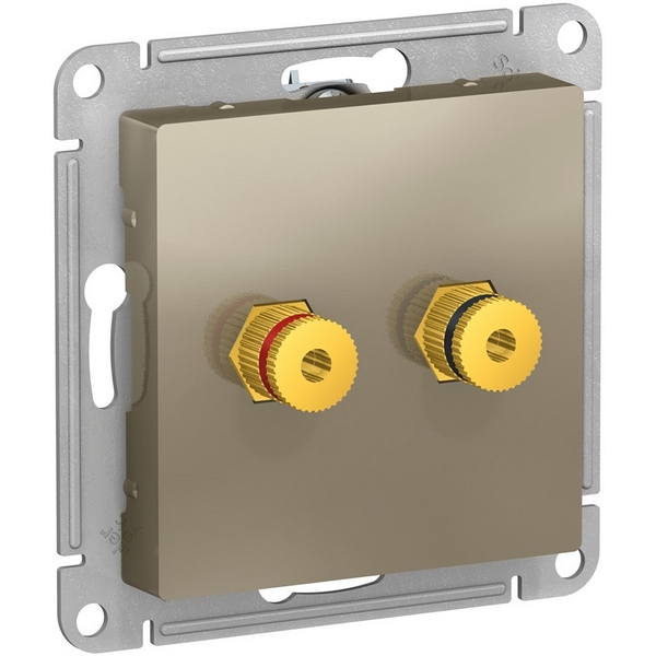 

Акустическая розетка двойная (шампань) Systeme Electric AtlasDesign ATN000587, AtlasDesign ATN000587
