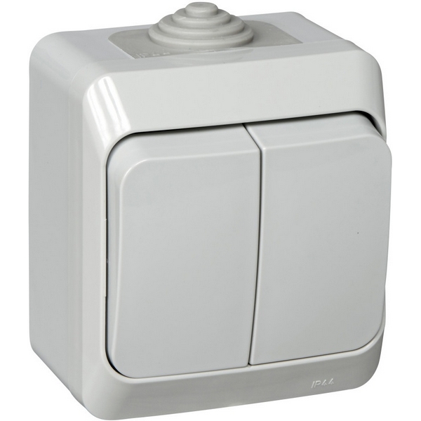 

Выключатель двухклавишный (серый) Systeme Electric BA10-042C, BA10-042C